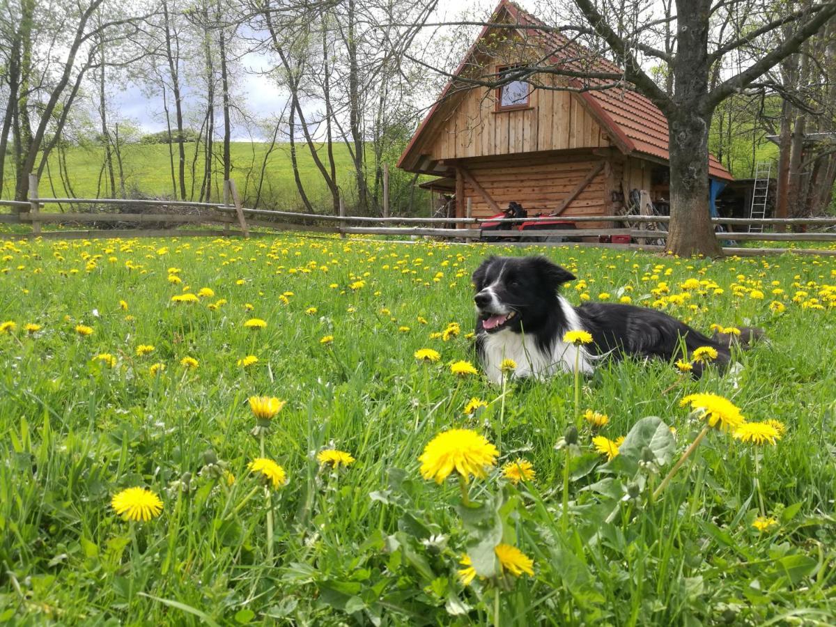 Holiday Home Holiday Raj Бешенёва Экстерьер фото